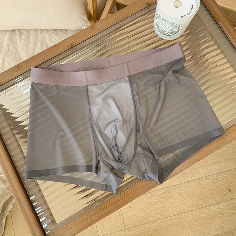 Ice Silk Men Underwear Seamless Transparent Boxer Shorts Sexy Ultra-thin Breathable Panties Male Quick Dry U Pouch Underpants